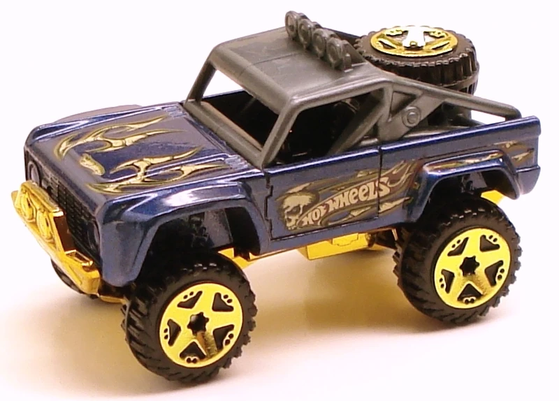 Custom Ford Bronco