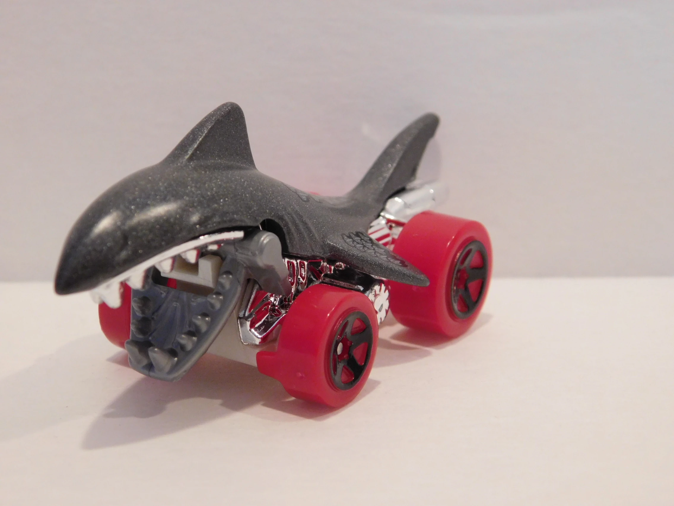 Shark Bite