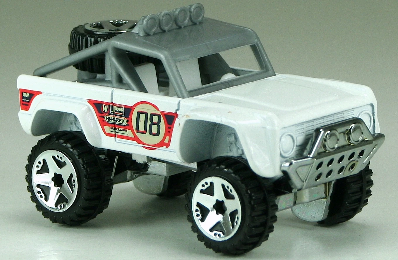 Custom Ford Bronco